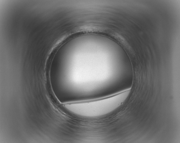 X0000066970488200603241023
