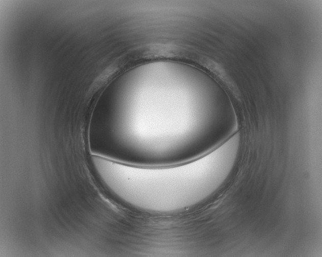 X0000066970489200603241023
