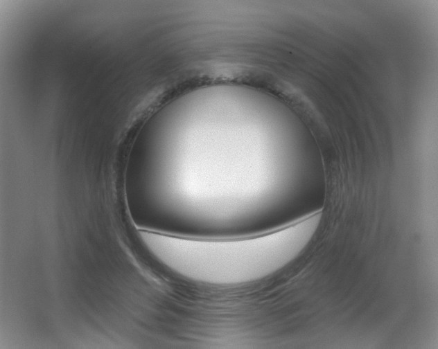 X0000066970496200603241023