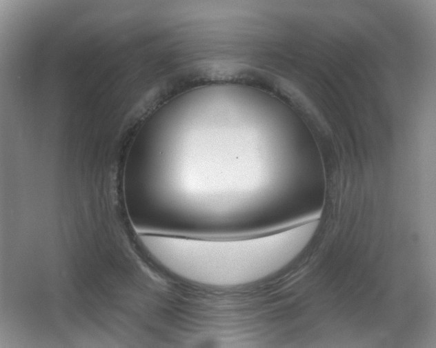 X0000066970497200603241023
