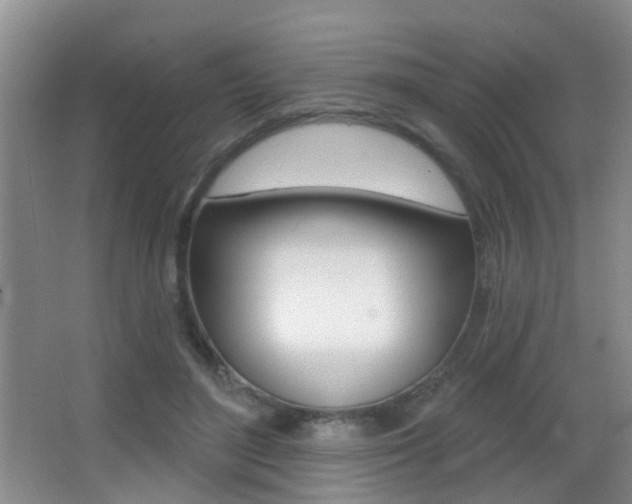 X0000066970500200603241022