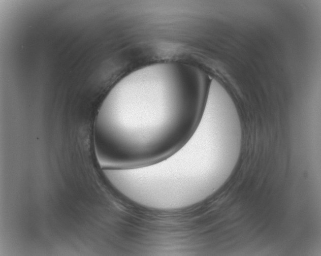 X0000066970505200603241022