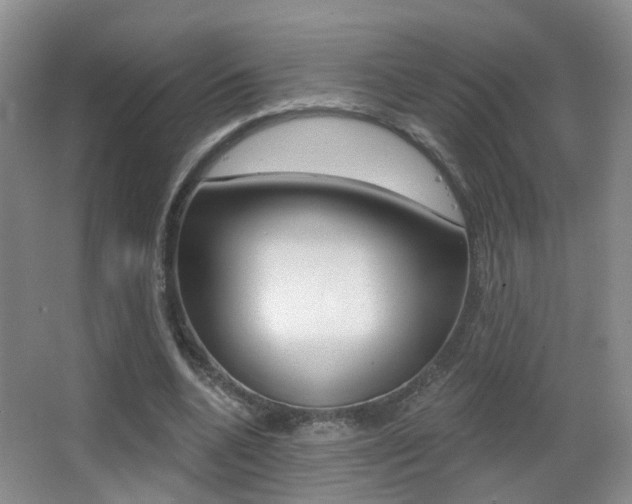 X0000066970536200603241021