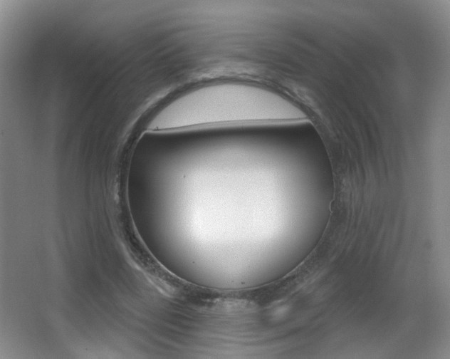 X0000066970539200603241021