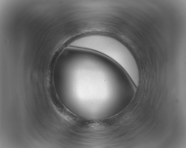 X0000066970544200603241021