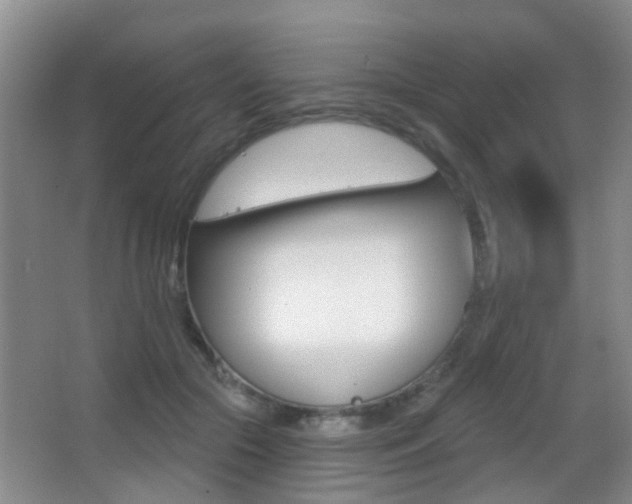 X0000066970553200603241022