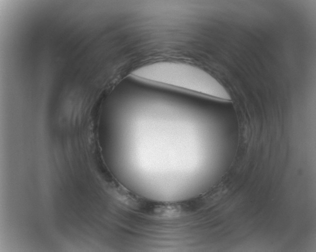 X0000066970559200603241022