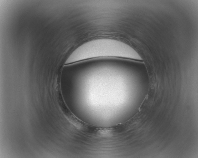 X0000066970560200603241022