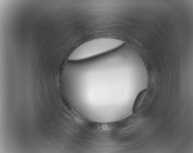 X0000066970565200603241022