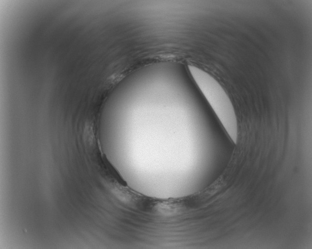 X0000066970568200603241022