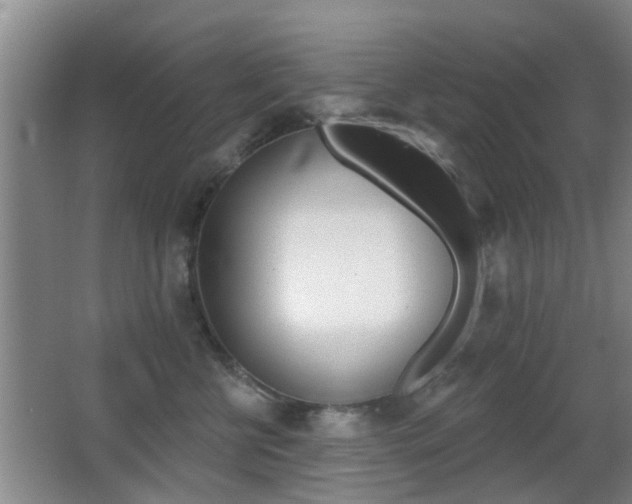 X0000066970570200603241022