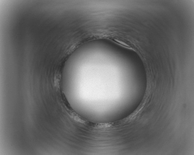 X0000066970576200603241022