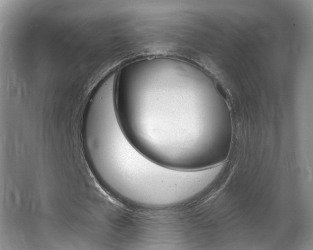 X0000066970577200603241021