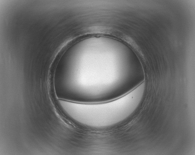 X0000066970580200603241021