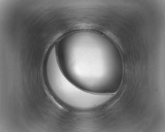 X0000066970581200603241021