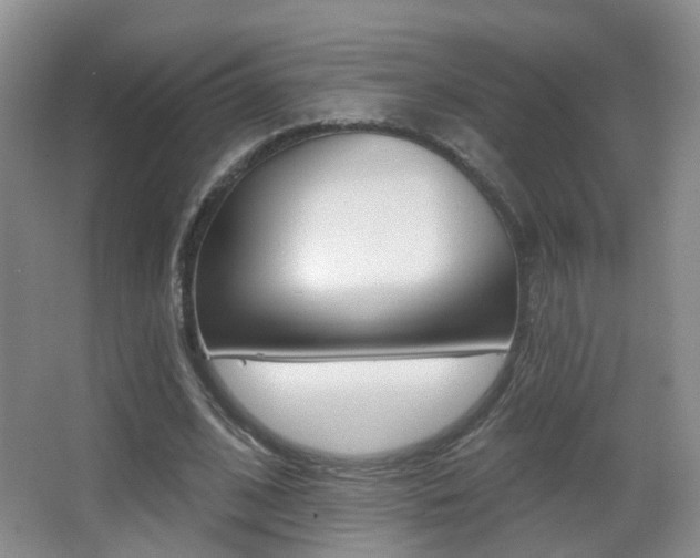 X0000066970584200603241021
