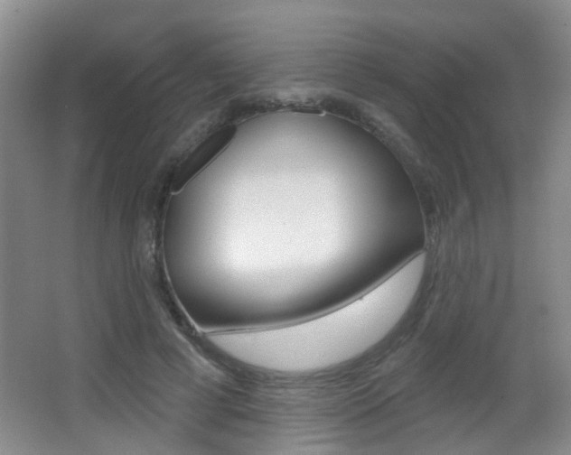 X0000066970593200603241021