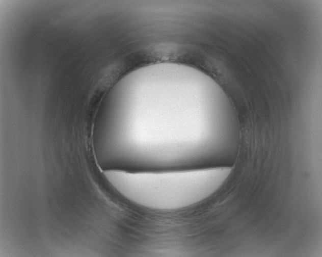 X0000066970594200603241021