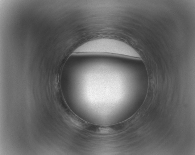 X0000066970605200603241021