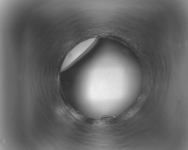 X0000066970624200603241020