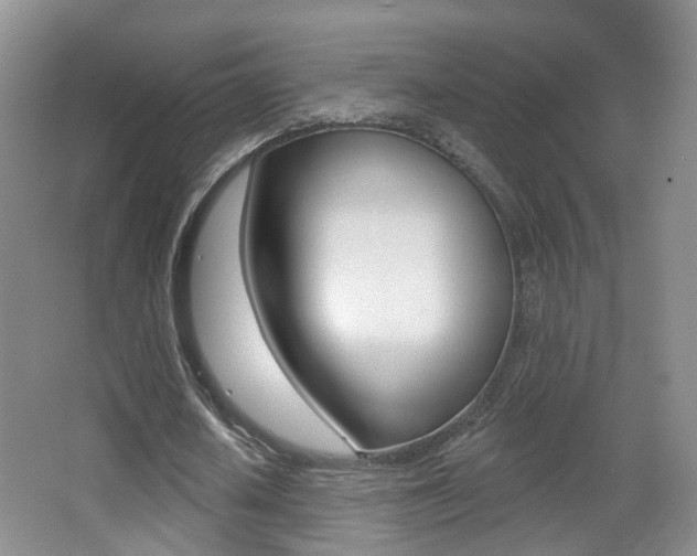 X0000066970626200603241020