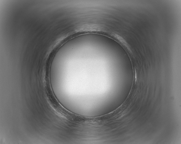 X0000066970627200603241020