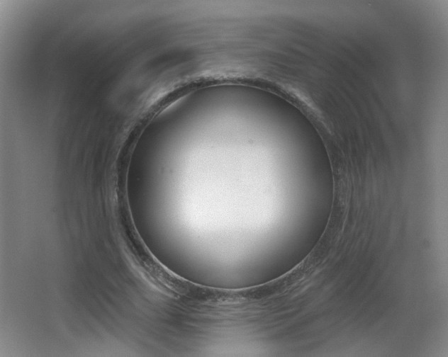 X0000066970631200603241020