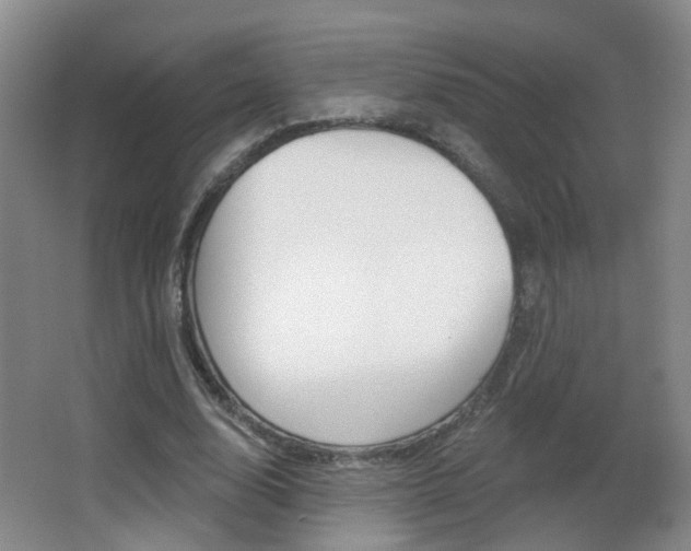 X0000066970632200603241020