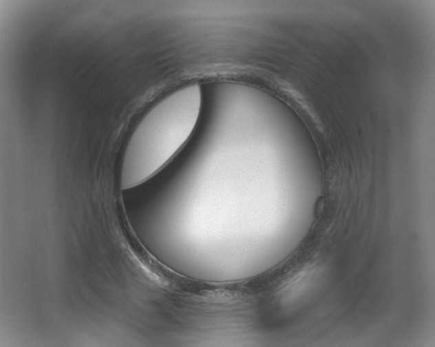 X0000066970633200603241020