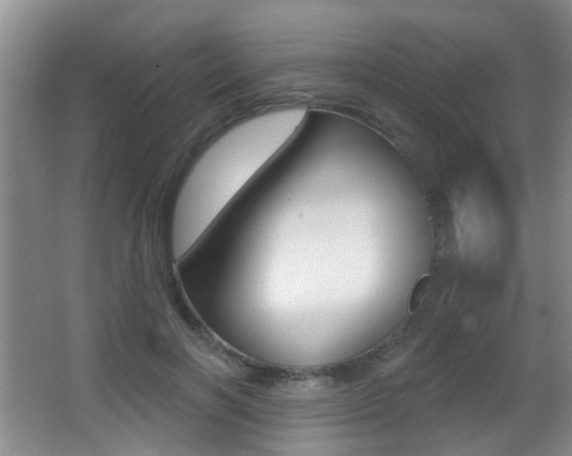 X0000066970646200603241020