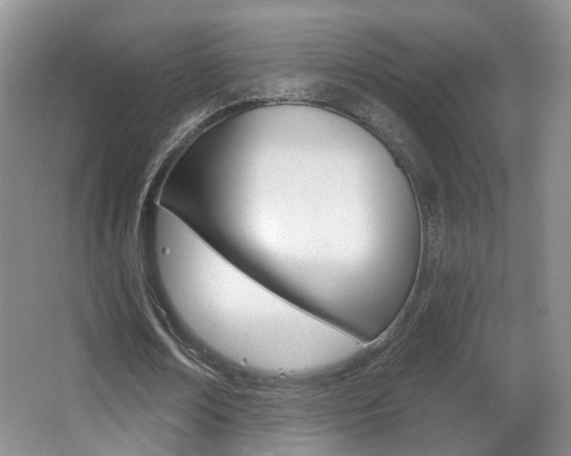 X0000066970674200603241020