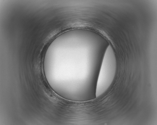 X0000066970675200603241020