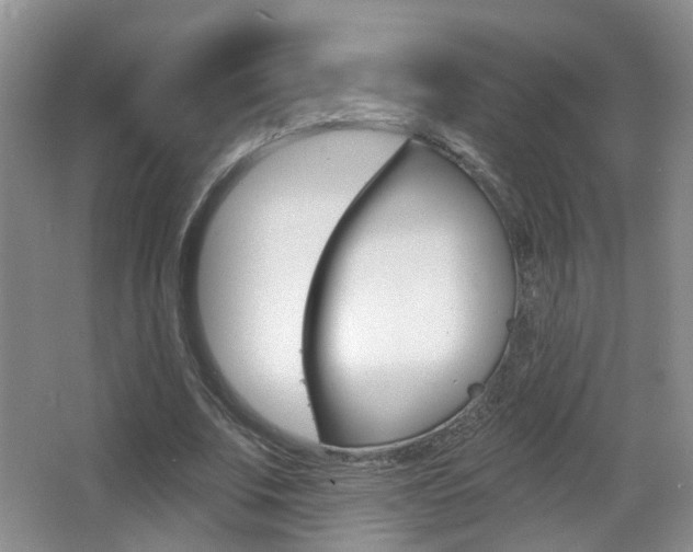 X0000066970679200603241019