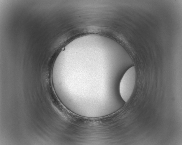 X0000066970683200603241019