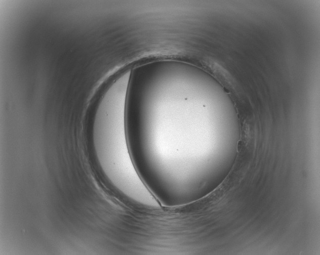 X0000066970684200603241019