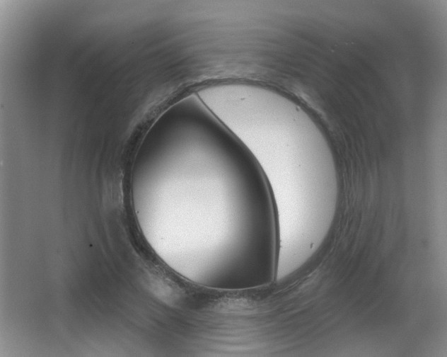 X0000066970685200603241019