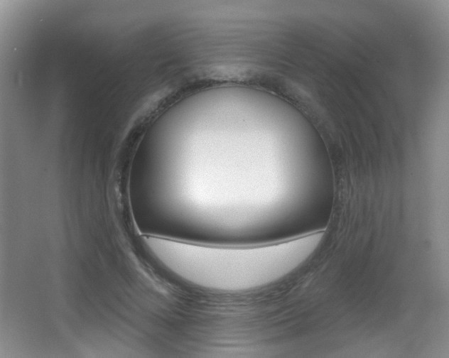 X0000066970688200603241019