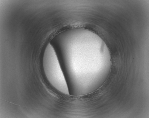 X0000066970690200603241019