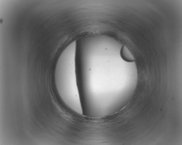 X0000066970694200603241019