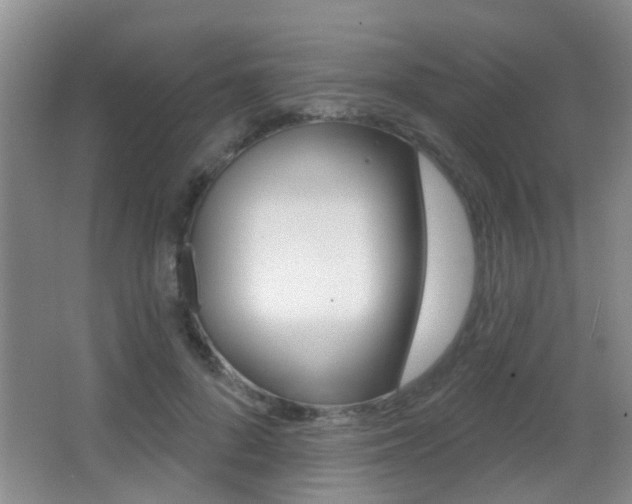 X0000066970696200603241019