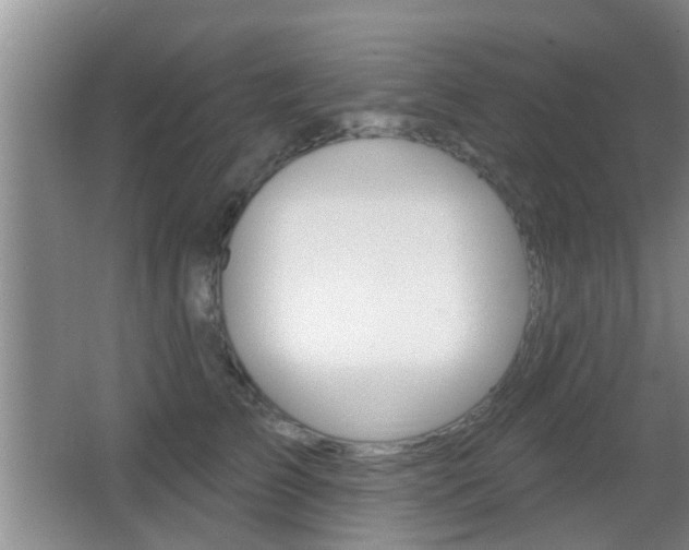 X0000066970709200603241019