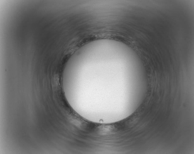 X0000066970711200603241019