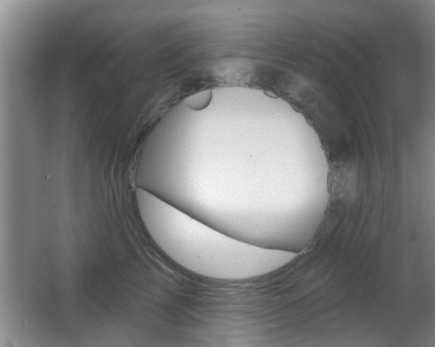 X0000066970713200603241019