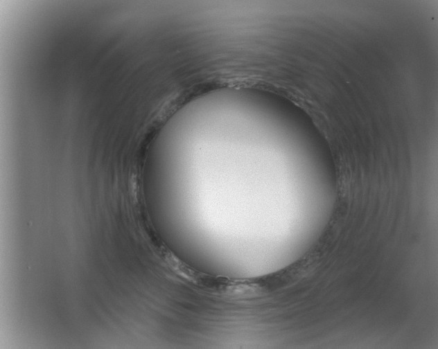 X0000066970716200603241019