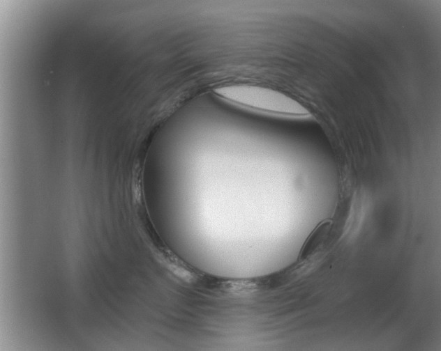 X0000066970719200603241019