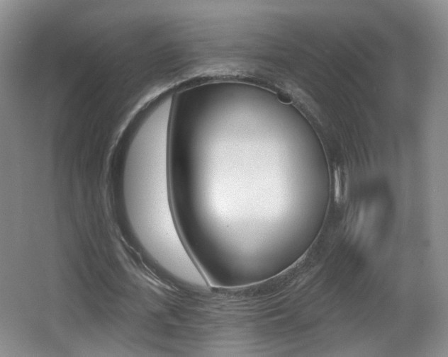 X0000066970723200603241018