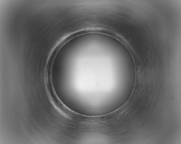 X0000066970726200603241018