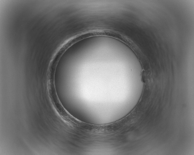 X0000066970728200603241018