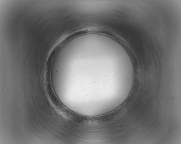 X0000066970730200603241018