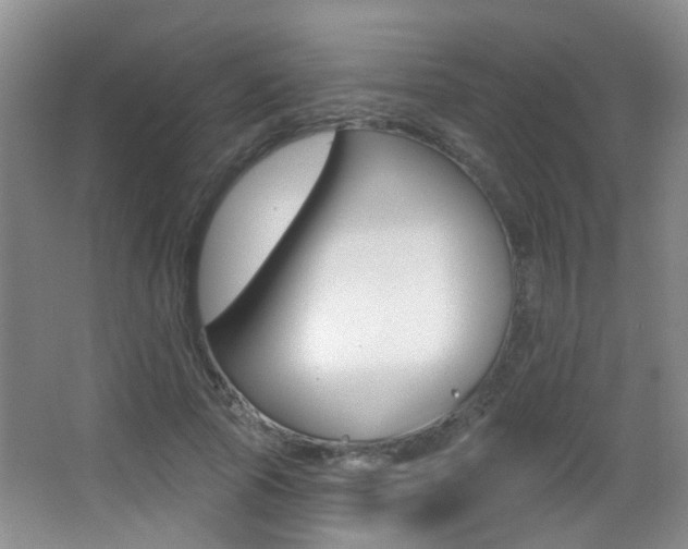 X0000066970737200603241018